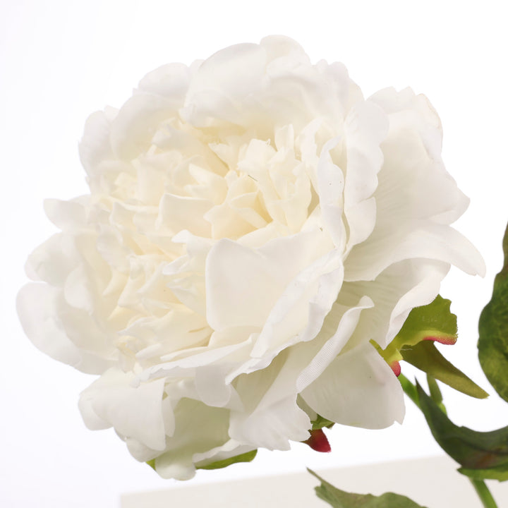 Artificial Peony Rose - Large Stem - White close up