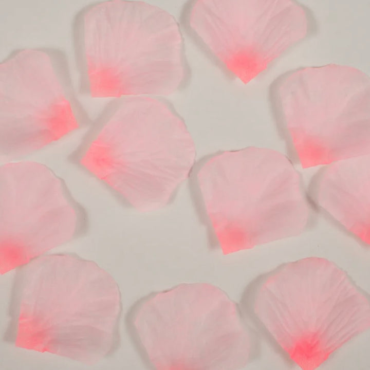 Rose Petals - Two tone Hot Pink