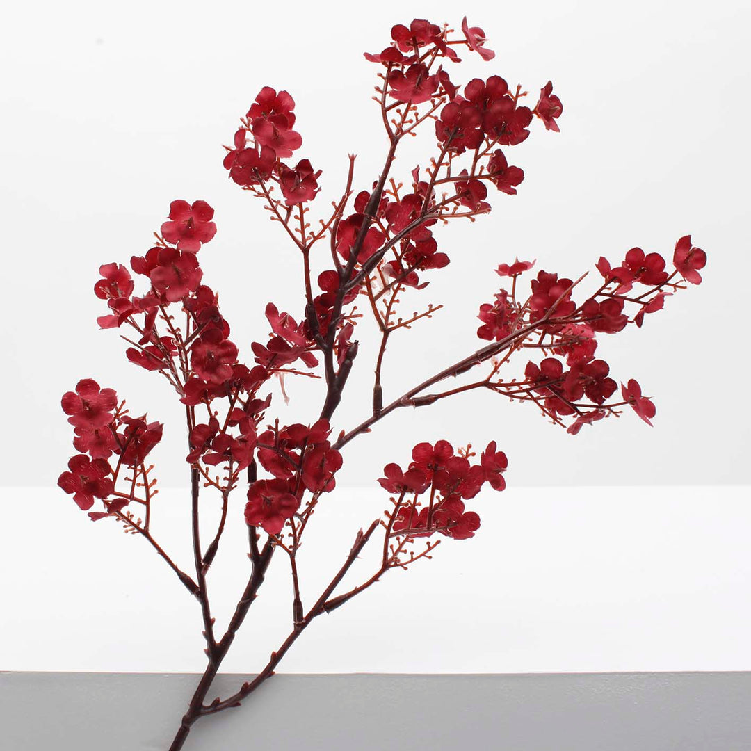 close up Burgundy coloured cheery blossom with brown steam and branches 