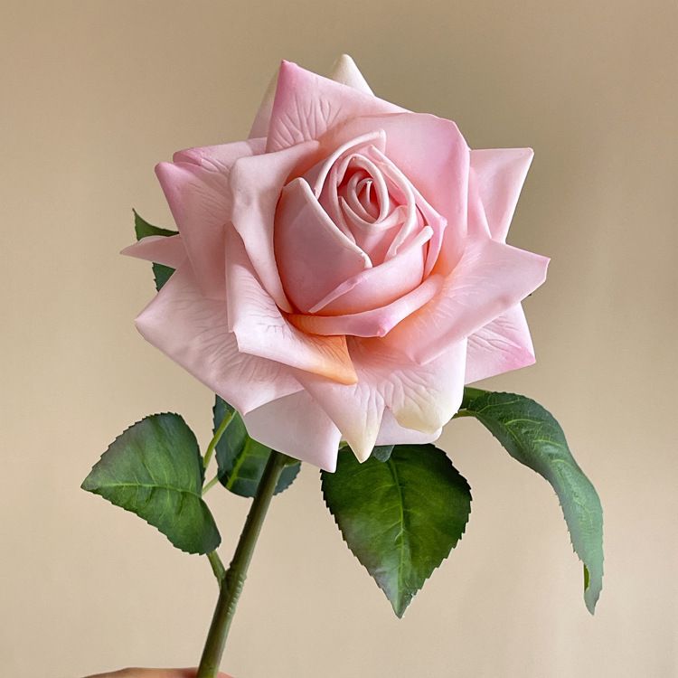 Artificial Rose Blossomed Stem - Blush single stem