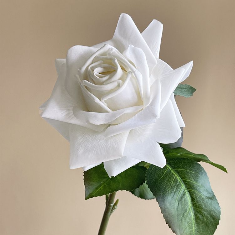 Artificial Rose Blossomed Stem - White single stem
