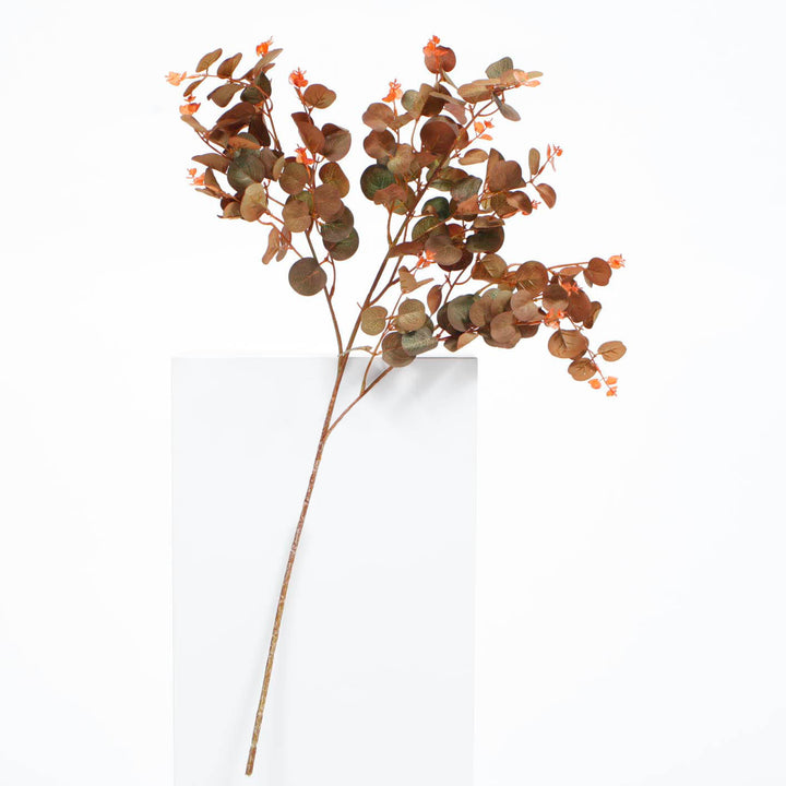 AUTUMN BROWN EUCALYPTUS BRANCH