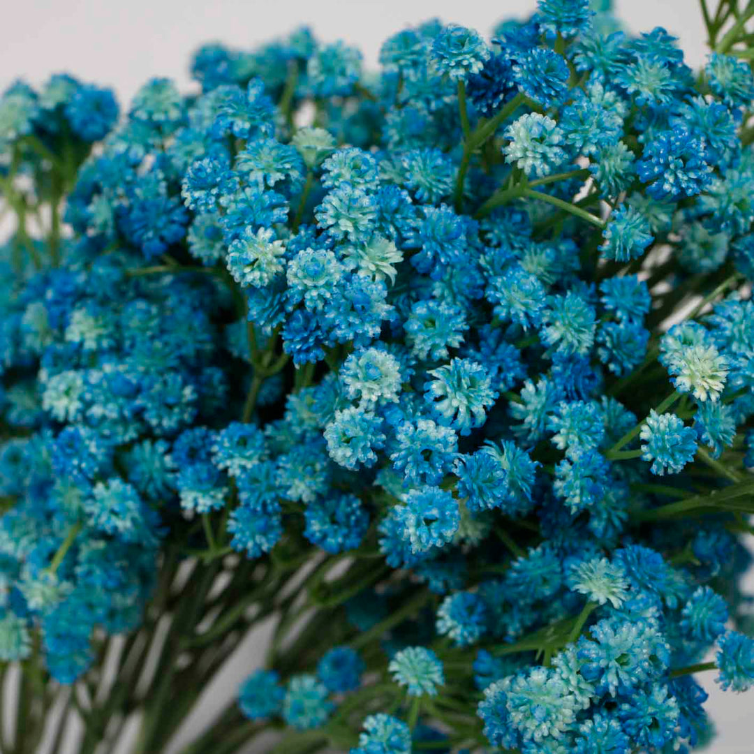 Baby Breath Bouquet Premium - Light Blue (60cm) Close