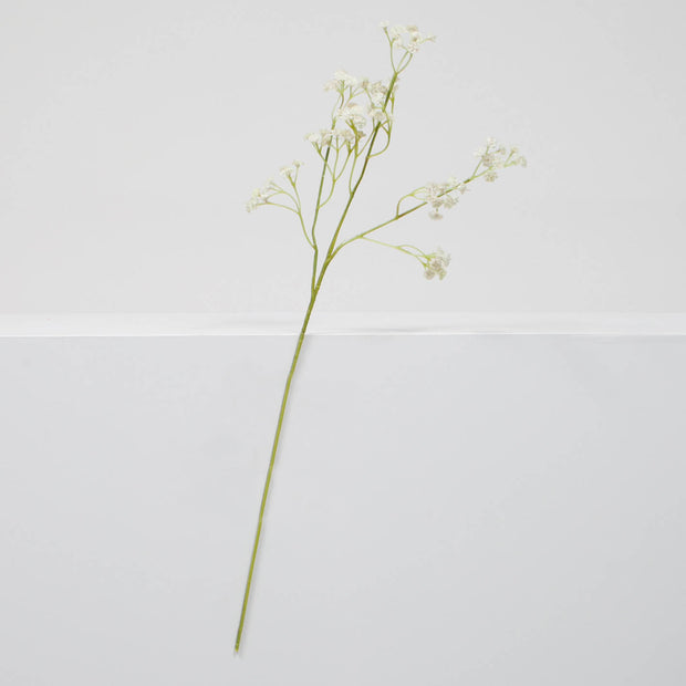 Baby Breath Bouquet Filler Stems - White (60cm) Single Stem