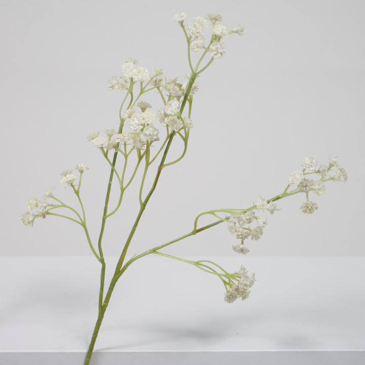 Baby Breath Bouquet Filler Stems - White (60cm) Single Stem Close