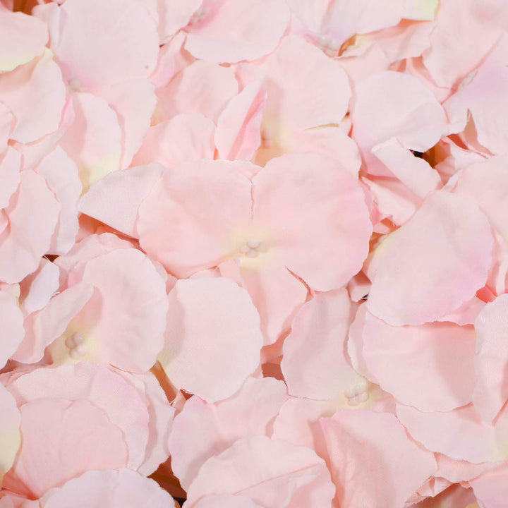 Champagne Pink Flower up close