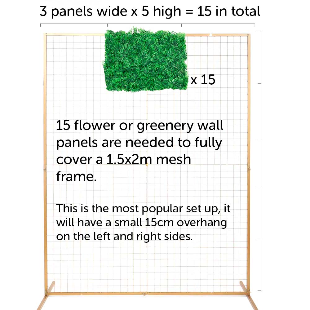 Greenery Wall - Rainforest Fern & Moss